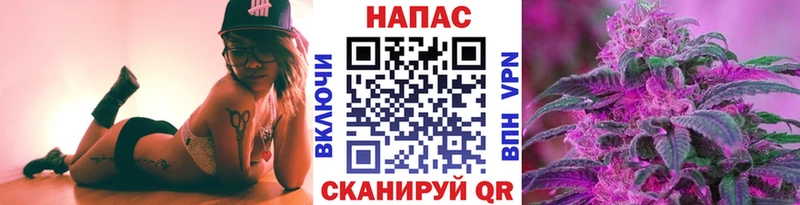Марихуана сатива Лихославль